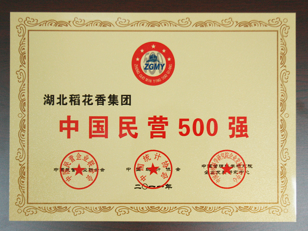 2011年中國民營企業500強